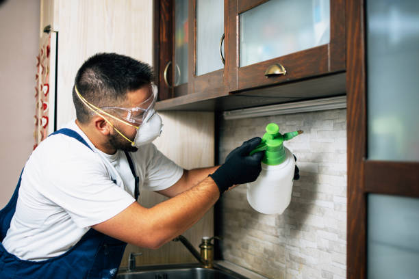 Best Wildlife Control Services  in Hoback, WY