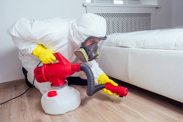 Best Best Pest Control Companies  in Hoback, WY