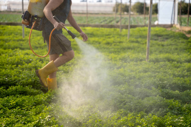 Best Pest Inspection Near Me  in Hoback, WY